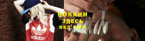 твердый Алексеевка