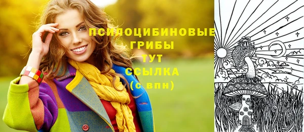 твердый Алексеевка