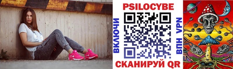 Псилоцибиновые грибы Psilocybine cubensis  наркота  Липки 